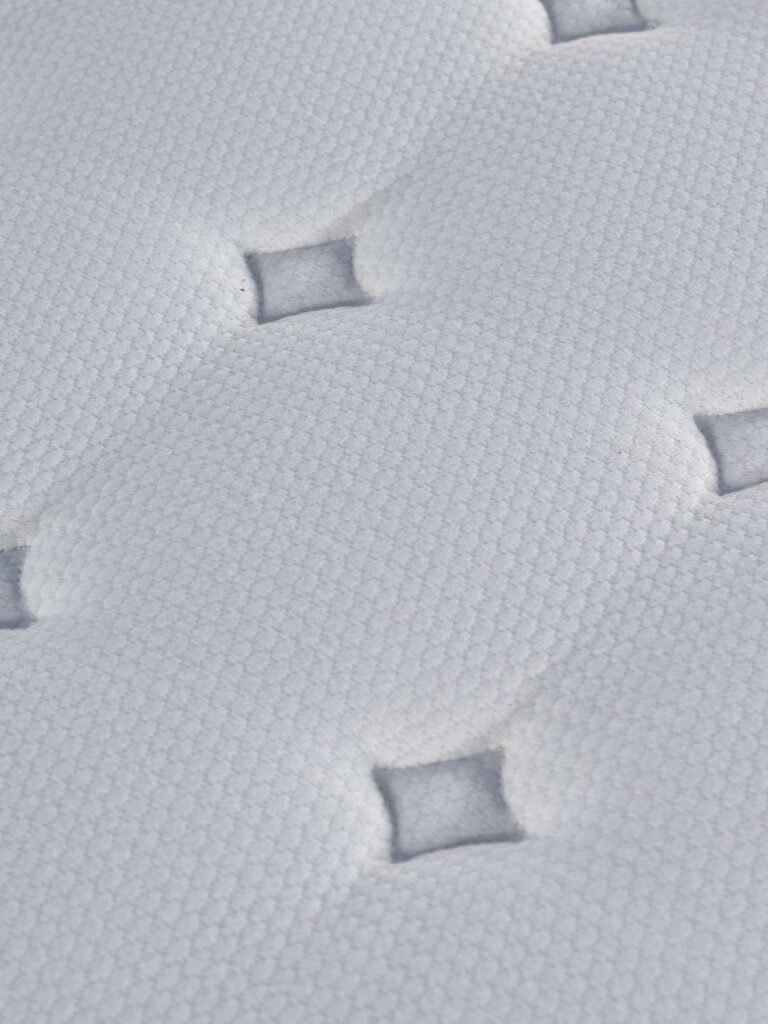 Dušek Elysium – slika 4